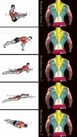 Back Workout At Home #backworkout #muscleback #workoutathome #bodybuilding #exercisemotivation #fitnessmotivation