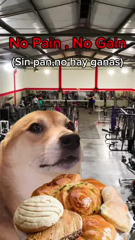 Ombliguito de semana.😜 ¿Ya entrenaron hoy? 💪🏽 ¿Que les toca entrenar hoy? #Gym💪🏽💪🏽💪🏽 #CapCut #fyp #parati #gymtime #Gym #GymTok #GymLife #gymlover #fypgym #gymmotivation 