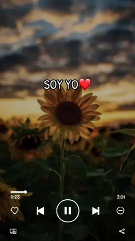 ESE LOCO SOY YO-LIBERACION ❤️ #fyp #fypシツ #Love #liberacion #estadosparawhatsapp🎶🥰🎧😍 