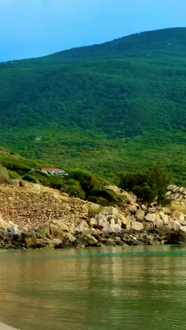 #الشمال_الغربي_التونسي🌿🌷🇹🇳 #عين_دراهم_طبرقة❤️_جندوبة_الشمال_الغربي #نفزة_باجة🌿♥️ #اكسبلور 