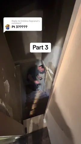 Replying to @Cristina Sopranzi  Here is the full basement tour. #creepydoor #hiddendoor #hiddenroom #airbnbfinds #secrettunnel #secretdoor 