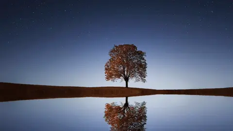 #fyp #viral #viralvideo #قصيده #قصيده_شعر #نشيد 