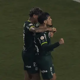 #RICHARDRIOS ★ voltei, lembram de mim? | scp @paulo #palmeiras #richardrios #richarlison #gfrichy #fyp 