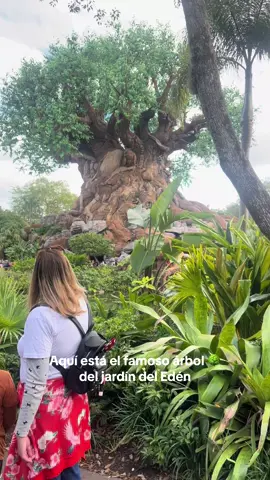 #eden #arbol #paratiiiiiiiiiiiiiiiiiiiiiiiiiiiiiii #fyp #soloeneeuu 