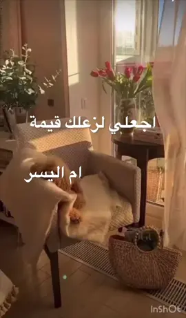 #explorepage #explorepage #explorepage #ام اليسر #explorar  اجعلي لزعلك قيمة#foryou 