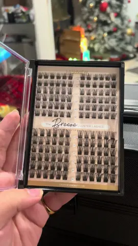 Do you like a full look or a classic look? I love them and they are super easy to put on! #fyp #tiktokshop #foryou #tiktok #foryoupage #lashclusters #lashview #gatekeep 