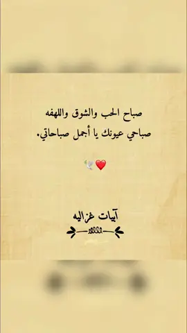 #صباح_الحب_والشوق #صباحي_انت_بكل_تفاصيلك #Explore #fypシ #fypシ #fypシ 