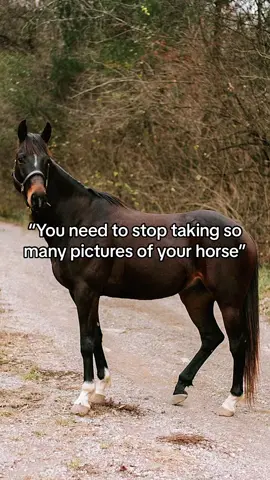 I will never 