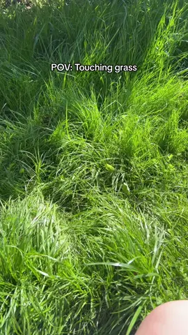 Touching grass ASMR #Asmr #asmrsounds #asmrvideo #grasstok #touchgrass #relax #nature 