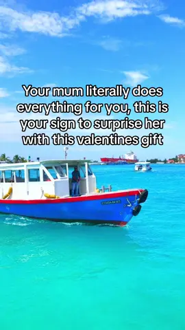 Best valentines gift idea 💕 #fyp #viral #bestseller #tiktokshop #TikTokMadeMeBuyIt #ValentinesDaySale 