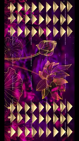 Visual Background - Nón Lá & Hoa Sen #Visual #Background  #Led #Mrken