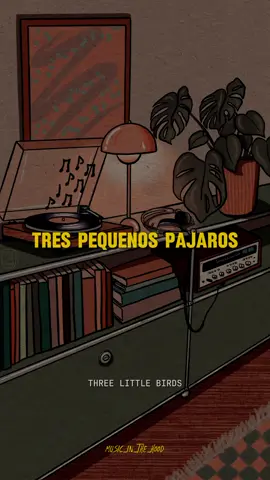 Three Little Birds - Bob Marley #Musica #Letras #BobMarley #Reggea #Fyp #Parati 