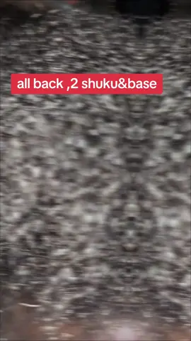 all back 2shuku and base hair style 😎 👌 ✨️ 🙌 😍 #fypシ゚viral #FORYOURPAGE 