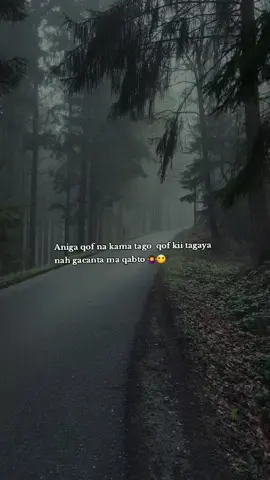 #onthisday  ma rabtaa in aad baxdo  bax hada🙄😌🙌