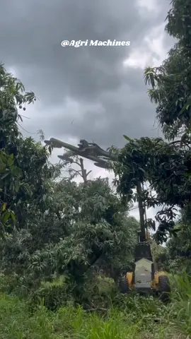 Topping Machine TH1400-H in Action || Made By TOL Incorporated California || #shorts 