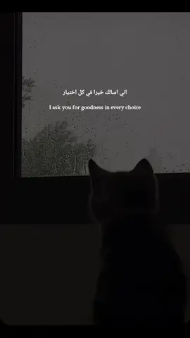 أمين 🤲 ##quotes #arabicsaying #islamicdua #dua' #arabictranslation #healing  #foryou #forme #deepquotes #islamiccontent #دعاء 