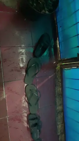 Sesimpel itu mencegah air masuk rumah😎#randomvideo #tutor #fyp #cegahbanjir 