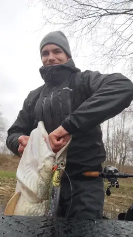 Macht es bitte nicht nach... #angeln #angler #hecht #hechtangeln #pike #pikefishing #harzfishing #fishing #fishinglife #fishingtiktoks 