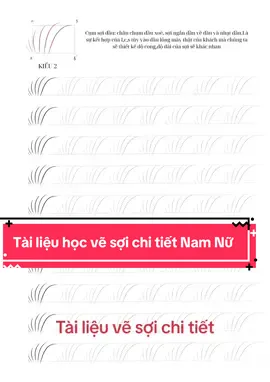 Chỉ 299k bạn sẽ có file học vẽ sợi chi tiết không thể chi tiết hơn🥰Tặng video cách vẽ cho các bạn mua file nhé ạ#masterhuongnguyen❤️ #softfeatherbrows❤️ 