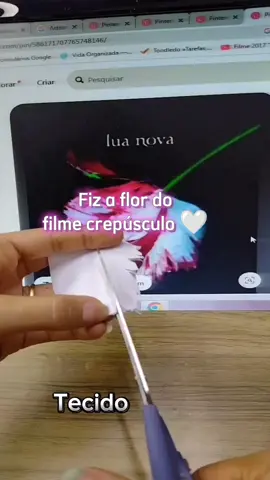 fãs do filme crepúsculo 🤍🤍🤍 Fiz a flor do livre Lua Nova 🤍🤍 flores de tecido pintadas a mão 🤍🤍 Memória afetiva 🤍 #pintura #arte #tecido #crepusculotwilight 