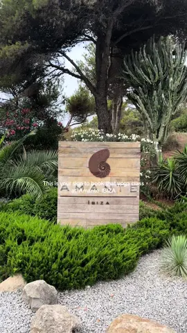 🧘🏼‍♀️#yoga #ibiza #amante #cleangirl #healthy #yogaflow #yogalover #ibizalifestyle #amanteibiza #beachclub 