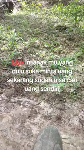 semua akan merasakan seperti ini #kulisawit #sawitkalimantan #kurirsawit #sawitontiktok #sawitkalbar #tumbuhtangguh #katakata #katakeren #soundviral #trend #fyp #xyzbca #fypage #fyppppppppppppppppppppppp 