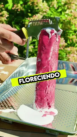 Hechos interesantes #datoscuriosos #hechosinteresantes #hechoscuriosos 