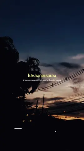 คงจะไม่ได้เบอร์☎️ #อ้ายพามาเขาพาไป #OGANIC #ลําเพลินวงศกร #เพลงฮิตtiktok #เพลงลงสตอรี่ #fypシ #CapCut 