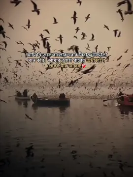 আমি নিজেকে বাংলার নবাব সিরাজ উদ্দৌলা মনে করি। আমার আশে পাশের অধীকাংশ লোকই মীর জাফর!❤️‍🩹 #fyp #bdtiktok #bdtiktokofficial #সন্ধ্যা_তারা🍂 