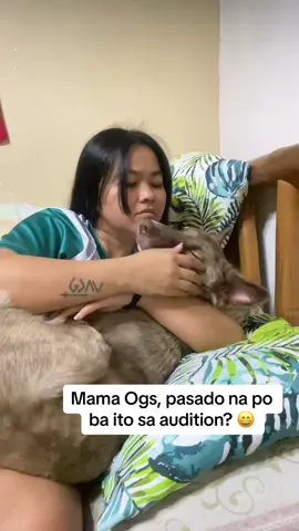 Mama Ogs, pasado na po ba ito sa audition? 🤪😄 medyo kabado bente lang sa huli 🥹😅  #funnydog #lovedogs #dogmom #doglover 