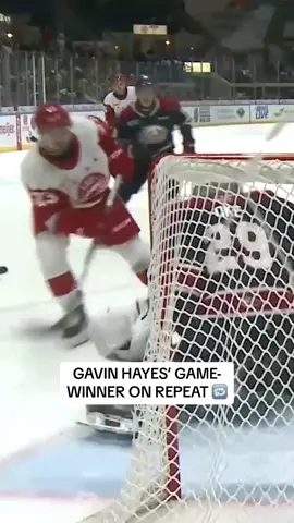 GAVIN HAYES, HIGHLIGHT-REEL GAME-WINNER 🤩 #fyp #fypシ #ohl #hockey 