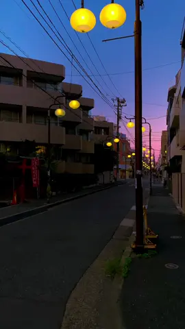 the vibe #vibe #japan #日本 #tokyo #night #street #sunset #twilight #aesthetic #foryou 