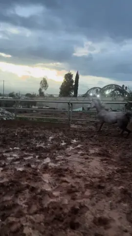 #اللهم_صلي_على_نبينا_محمد🙏❤️🤲 