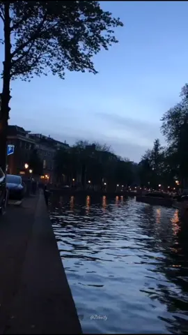 مين فات حبيبو تاه 🖤 #لو_تعرفوه #اليسا #zsbeity 