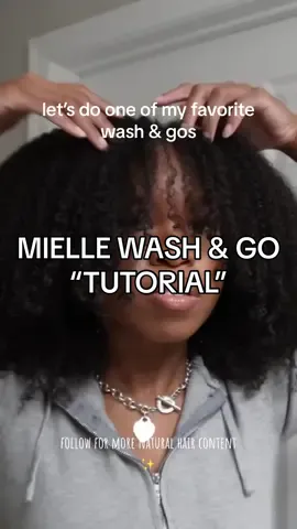 Slight warning if you are sensitive to scents - this line is heavily scented. I like it but it can be a lot at once! #washandgo #naturalhair #naturalhairstyles #hairtutorials #curlyhair 