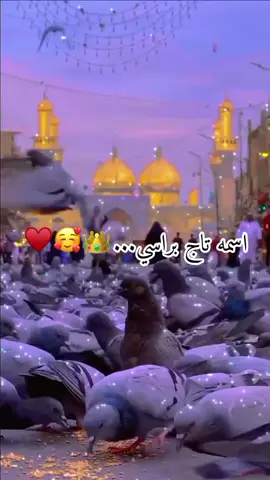 موسى اسمه تاج براسي ♥👑🌸🕊🤍🤍🥰#موسى_ابن_جعفر #الامام_الكاظم_عليه_السلآم #اكسبلور؟ #عظم_الله_اجورنا_واجوركم #ياعلي_مولا_عَلَيہِ_السّلام #اكسبلورexplore 