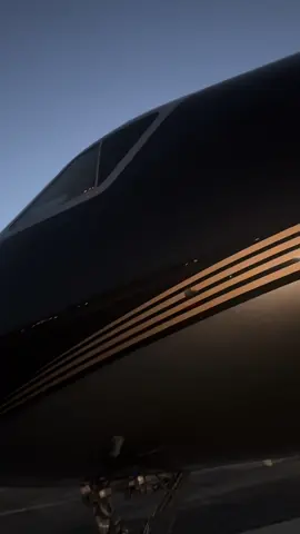 #الطيران_الخاص #vip_avaiation #الطيران #fyp #الكول_لعبتي 