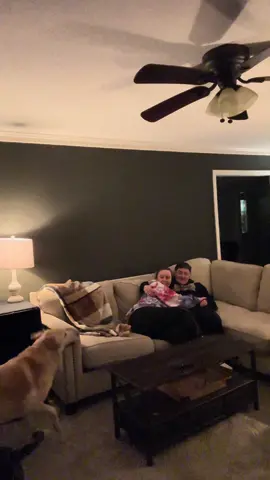 House series name? 🏡🪴 #baileylavender #fypシ #relatable #housedesign #relaxingvideo #longervideos #rentalhousedecor #rentalhouse 