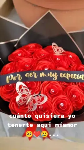 #cuantoquisieraestarcontigo ❤️🥺