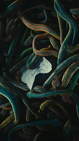 Голодные игры: Баллада о змеях и певчих птицах (2023) #голодныеигры #триллернавечер  #кинотоп #приключения