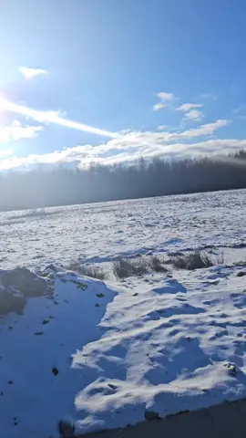 #foryou #tiktok #residentialcitytowers #ralucapop1982 #ralucapop12 