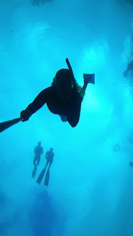 A little deep swim through and I had an audience 😅 #freediver #freediving #underwater #swimthrough 