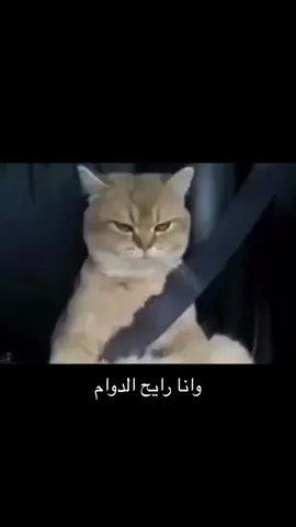 😂😂😂😂#رياكشنات_مضحكه #ريلز #اكسبلورر #ضحك 