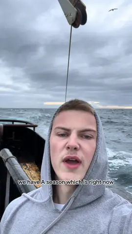 Everyone was confused about this haha heres your answer! #commercialfishing #fishing #boat #fyp 