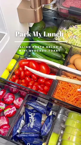 Pack my lunch with me. My breath was kung fu fighting on this day 😩 On the menu: 1) Italian Pasta Salad:  • rotini pasta (I used a seasonal minu pasta)  • 1 pint cherry tomatoes  • 12 ounces sliced pepperoni • 1 red onion, diced • 1 red bell pepper, diced •  mozzarella cheese pearls • 4 mini cucumbers  • 8 ounces olives  • 8 ounces pepperoni  • 8 ounces hard salami  • italian dressing and red pepper flakes  2) Mini Avocado Toast (deconstructed): one avocado snack pack, lox, capers, mini toast bites, boiled egg, and everything but the bagel seasoning.  #packmylunchwithme #packmylunch #lunchbox #lunchboxideas #lunchboxidea #asmrlunchbox #asmrlunchpacking #asmr #fyp #healthy #FoodTok #lunchideas #lunchbreak #mealprep #motivation #mealplan #bentobox #bentoboxlunch