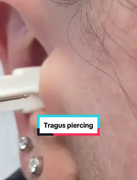 Tragus un piercing que puedo decir con toda seguridad AMARAS  . . . Te esperanos en nuestros puntos fisicos o agenda tu cita a domicilio  . . #glamour #piercing #titanio #piercinglovers #hipoalergenico #aretesunicos #oro #diamantes #safepiercing #medellín #bogota #mujer #bebe 
