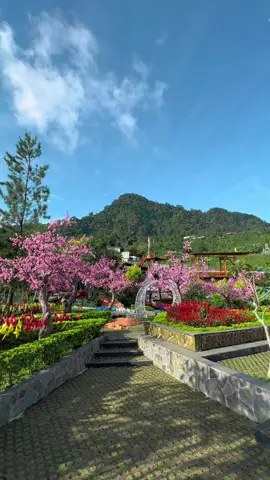Selamat pagii khayangan loverrsss🥳😍😍😘 terpantauu cuaca hari ini di villa khayangan bogor cerahh poolll, kuy gaskeun liburanya kesini ajak teman, keluarga, dan org tersayang gaskeun😍😍 ke @villa_khayangan_bogor 😍  #pesonabogor #puncak2 #bogorkotahijau #wisatabogor #kolamrenang #wisatajawabarat #pesonaindonesia #hayukabogor #jawabarat #enjoybogor #wisatabogor #visitbogor #bogorjawabarat #keluarbentar #ayodolan #bogorkinian #bogorterkini #demendolan #explorebogor #infobogor #regionbogor #villakhayangan #bogorkeun #explorewisatabogor #seputarpuncak #fyp #serunyaliburan