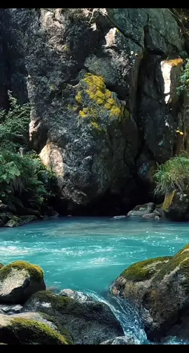 Running water for relaxation #meditationmusic70 #water #river #runningwater #waterfalls #sleep #read #study #calm #relaxation #StressRelief #meditation #beautiful #goodmood #nature #asmr #watersounds #nomusic #green  @MeditationandRelaxation Music 🎶🎧🥰