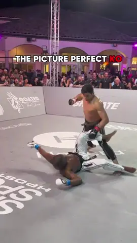 Picture Perfect KO! #Superman counter 3 - 2 - 1 #SubZero 🥶 #karate #karatecombat #ko #knockout 