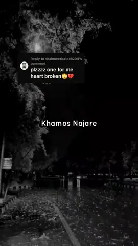 Replying to @shahmeerbaloch204 #foryou 🌺 #emotionalvideo 🙂 #heartbroken #hindisong #goviral #lyricsvideo #lyrichub80 #keeploving❤️ #keepsupporting #fypシ #copylink 🌺